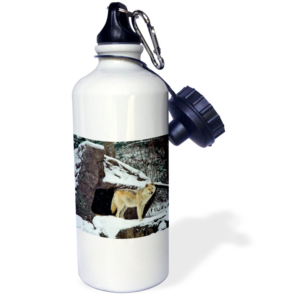 21oz Sports Water Bottle L6268