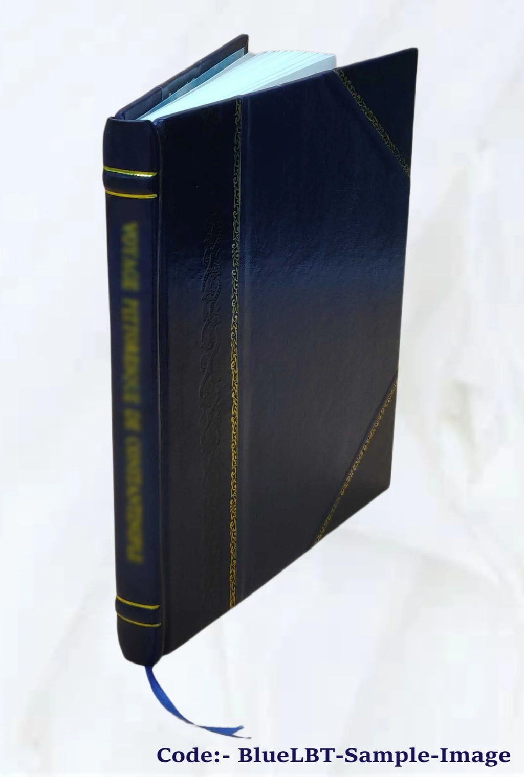The slave trade in Africa in 1872 G1351