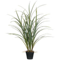 Potted Grass with Roots J513947