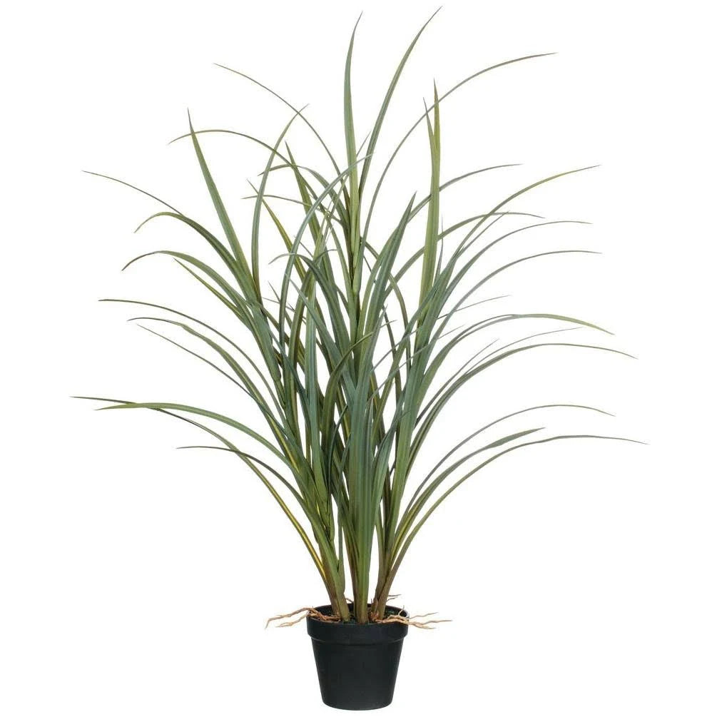 Potted Grass with Roots J513947