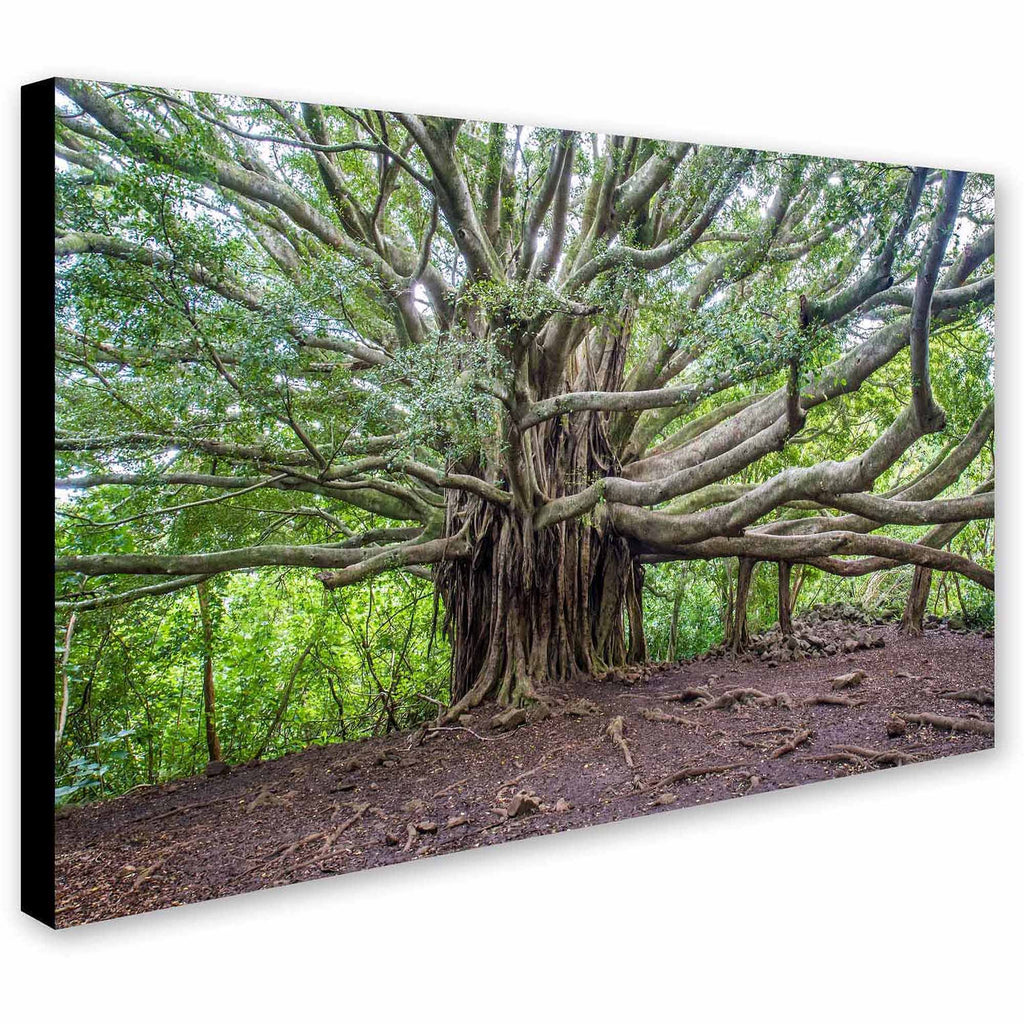 Canvas Art N439