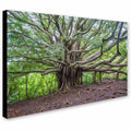Canvas Art N439