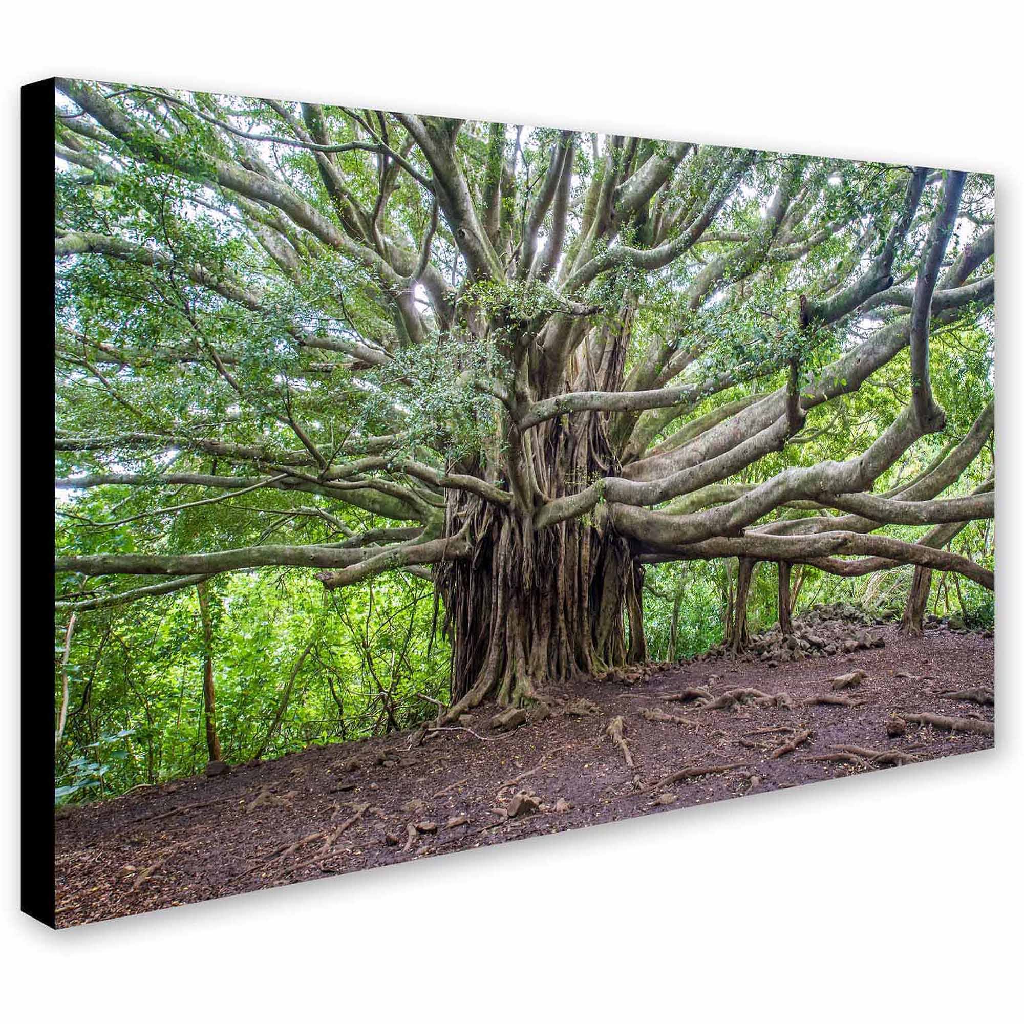 Canvas Art N439