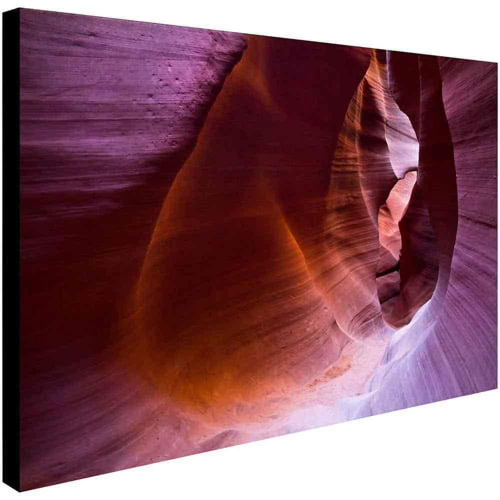 14" x 19" Canvas Art T128752