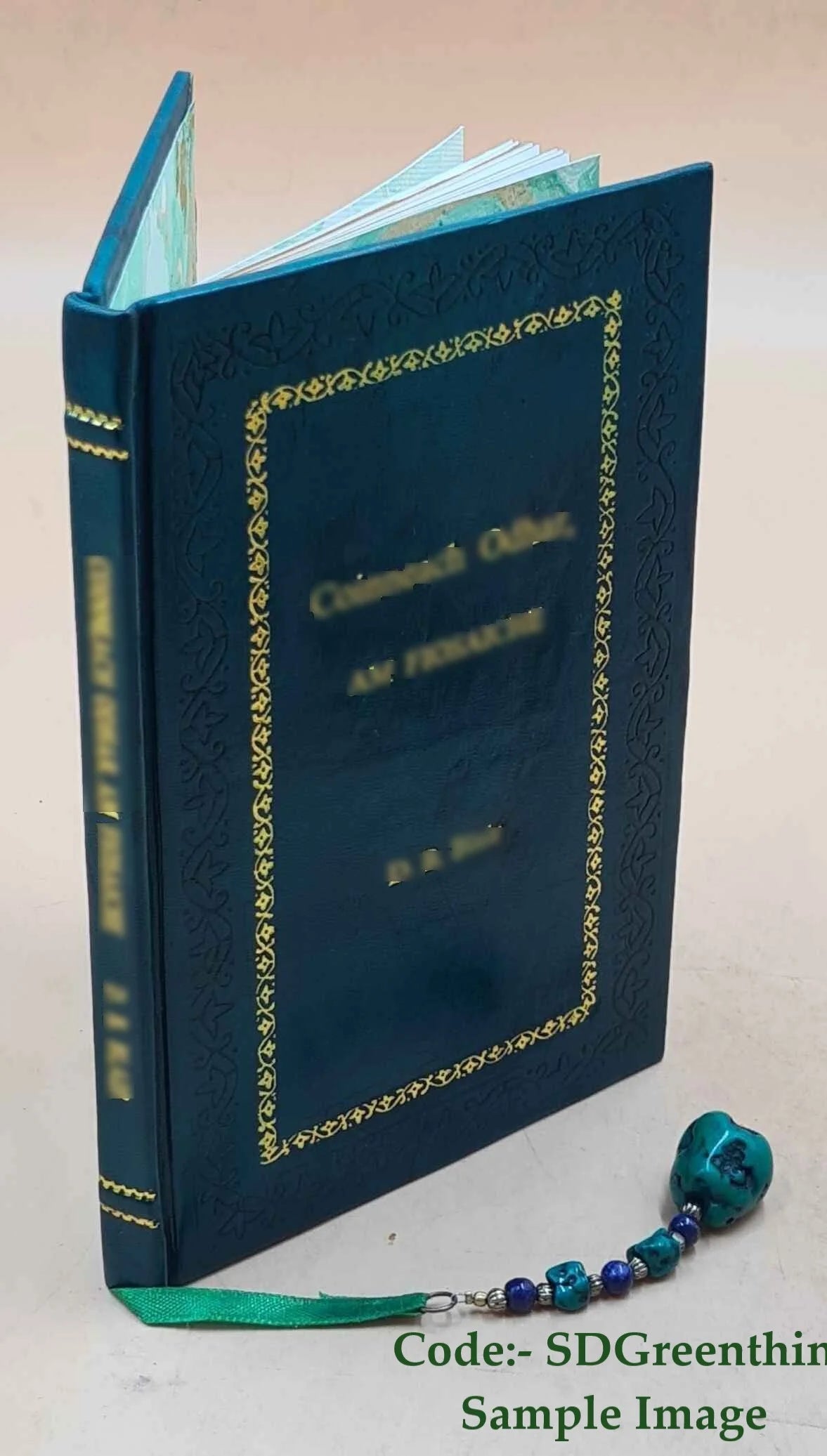 Paddle your own canoe and other poems 1897 Premium Leather Bound H9625