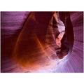 14" x 19" Canvas Art T128752