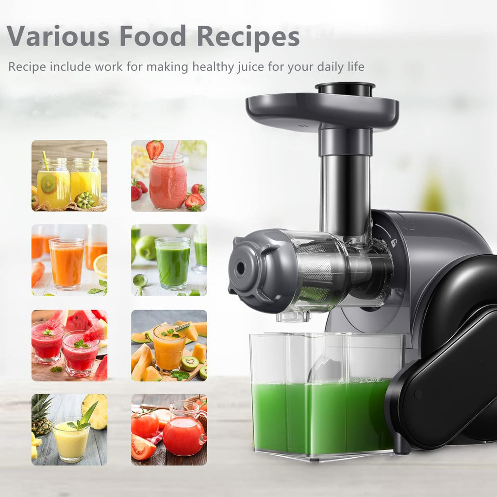 Slow Juicer Masticating Juicer with 2 Filter Q821