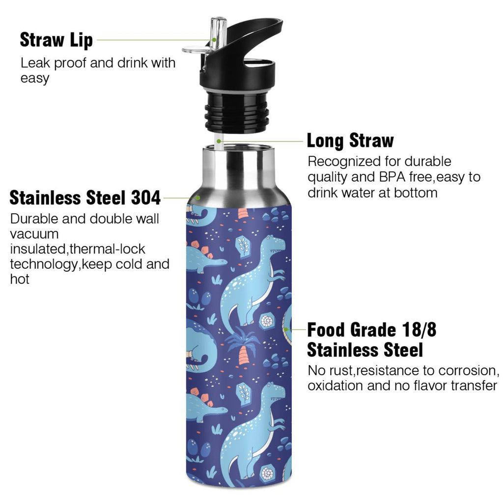 Stainless Steel Insulated Water Bottle with Straw Lid N909750