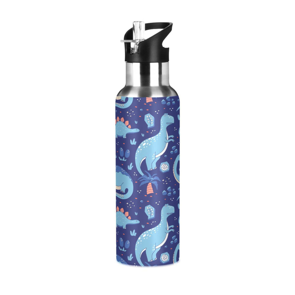 Stainless Steel Insulated Water Bottle with Straw Lid N909750