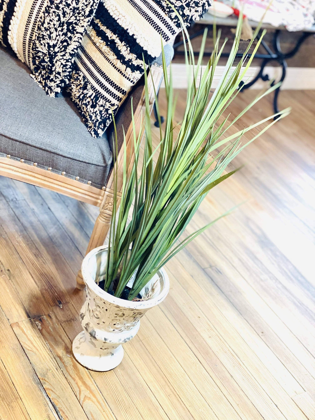 Potted Grass with Roots J513947