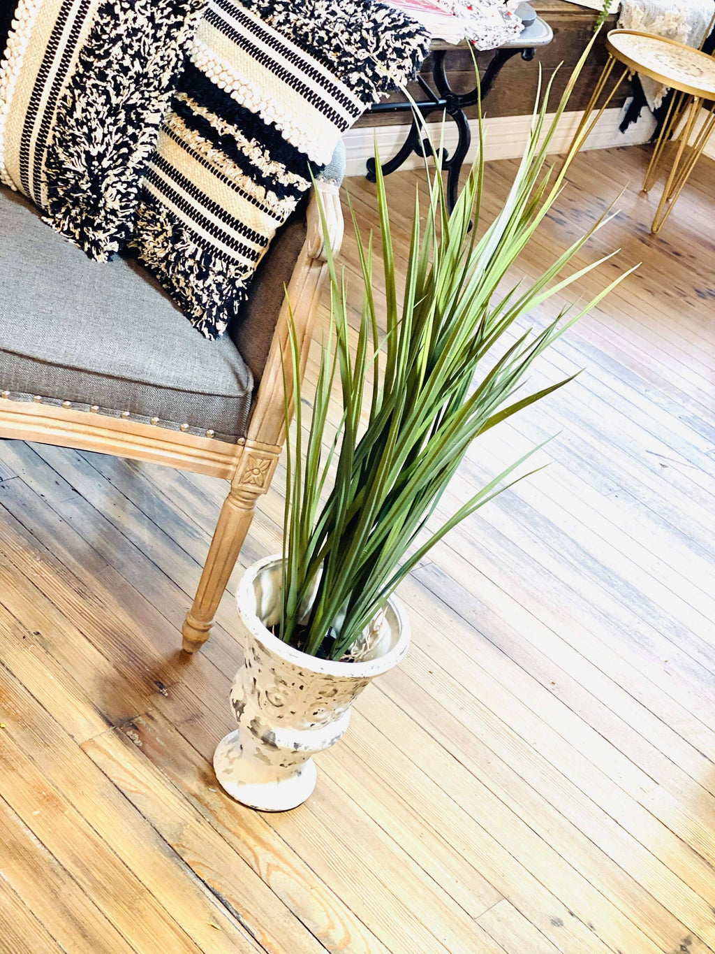 Potted Grass with Roots J513947