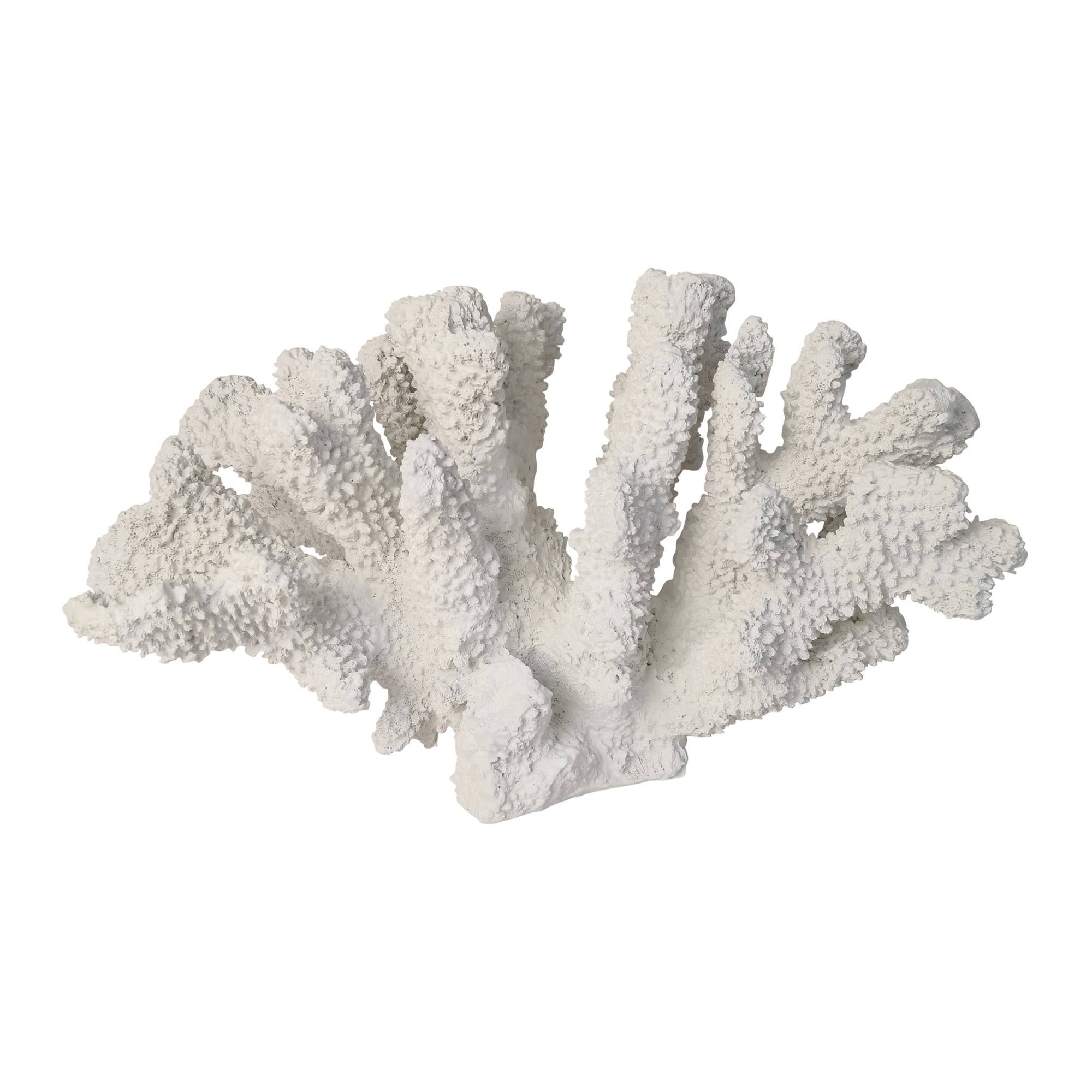 White Polyresin Coral Decor A537302