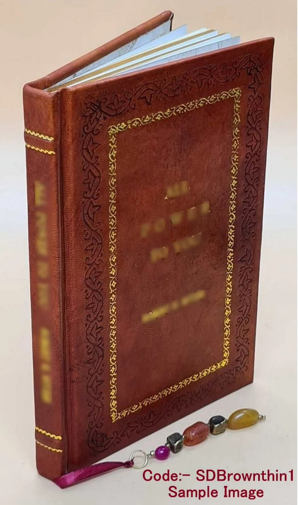 Paddle your own canoe and other poems 1897 Premium Leather Bound H9625