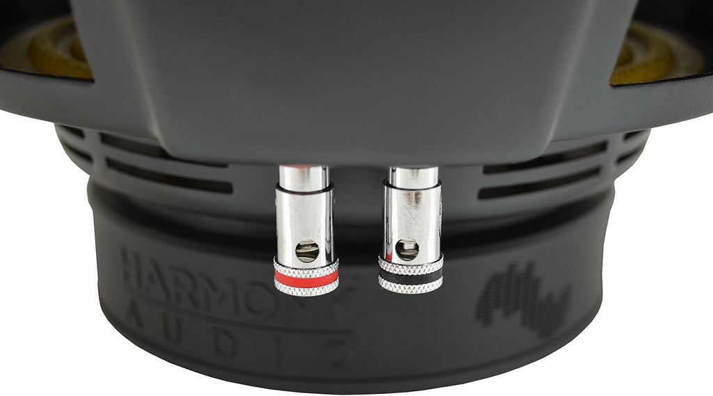 800W Dual 2 Ohm Car Subwoofer A371