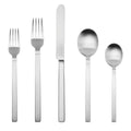 5 Piece Place Setting W352