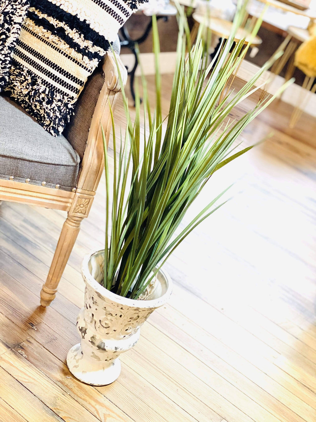 Potted Grass with Roots J513947