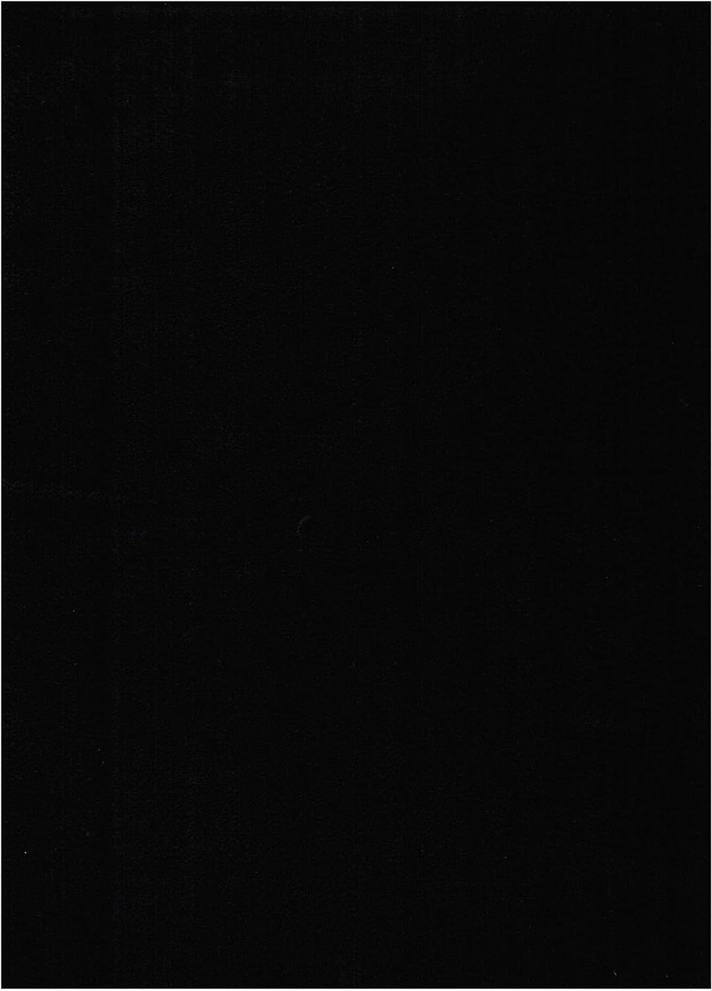Black Suede Fabric Futon Mattress N77741