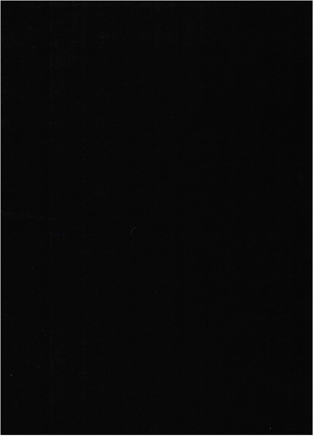 Black Suede Fabric Futon Mattress N77741