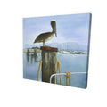 16 x 16 in. Pelican-Print on Canvas E9525