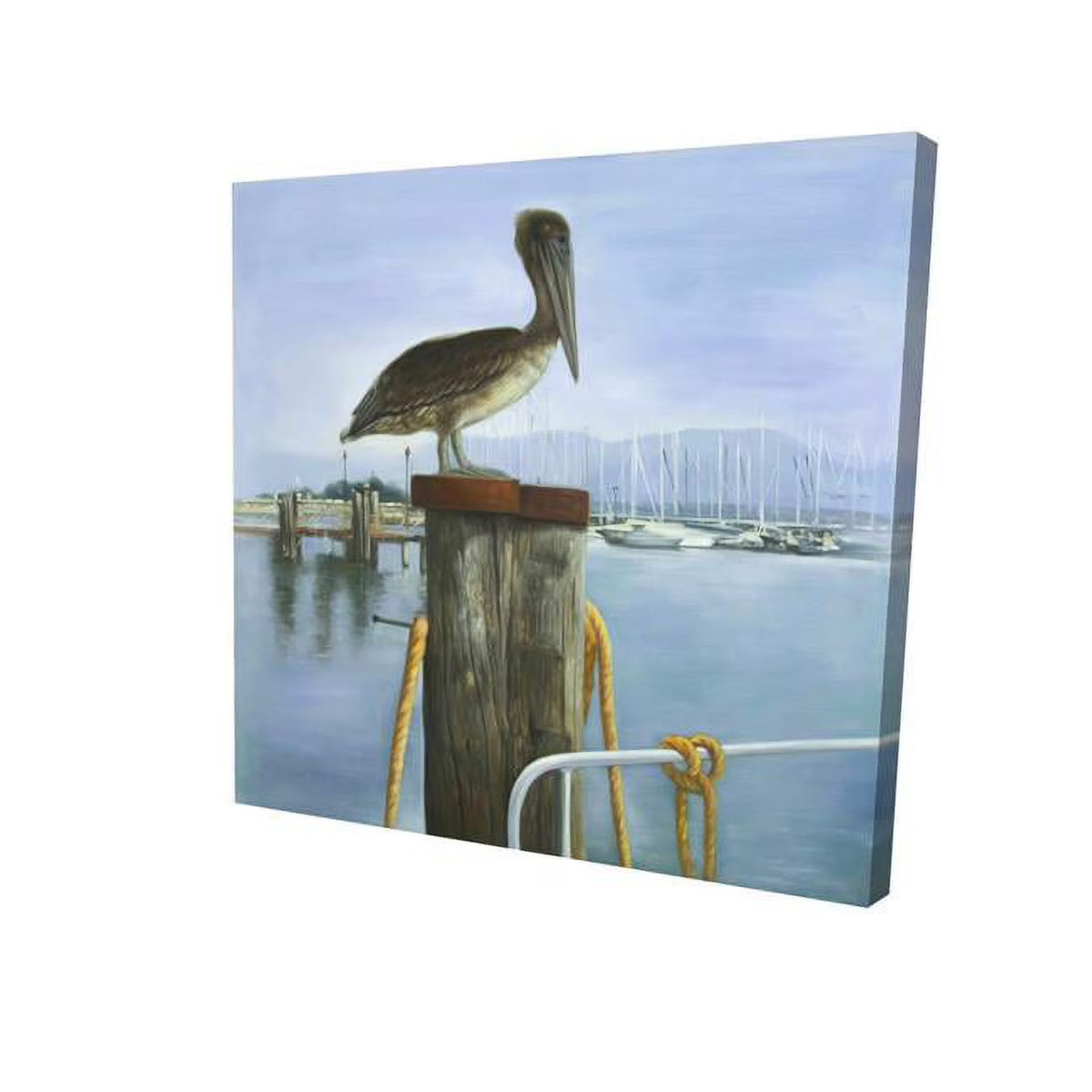 16 x 16 in. Pelican-Print on Canvas E9525