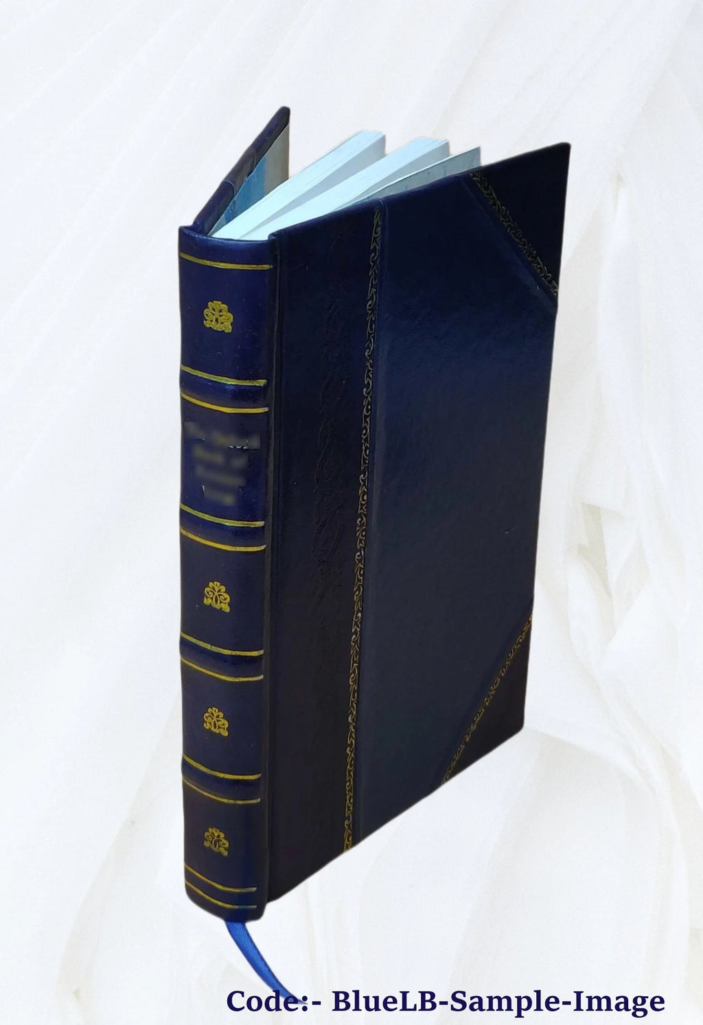 Leather Bound Book L45219