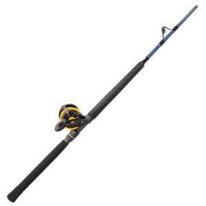 Stand-Up Rod and Reel Combo C84059