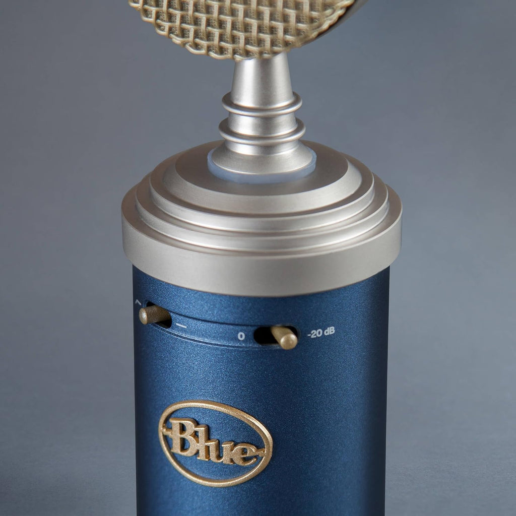 Large-Diaphragm Condenser Microphone with Closed-Back Headphones and XLR Cable W8601