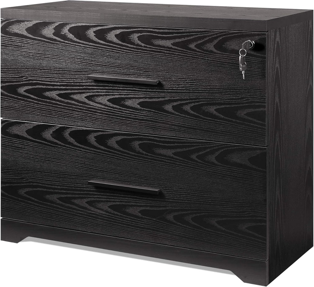 Black 2-Drawer Wood Lateral File Cabinet V351772
