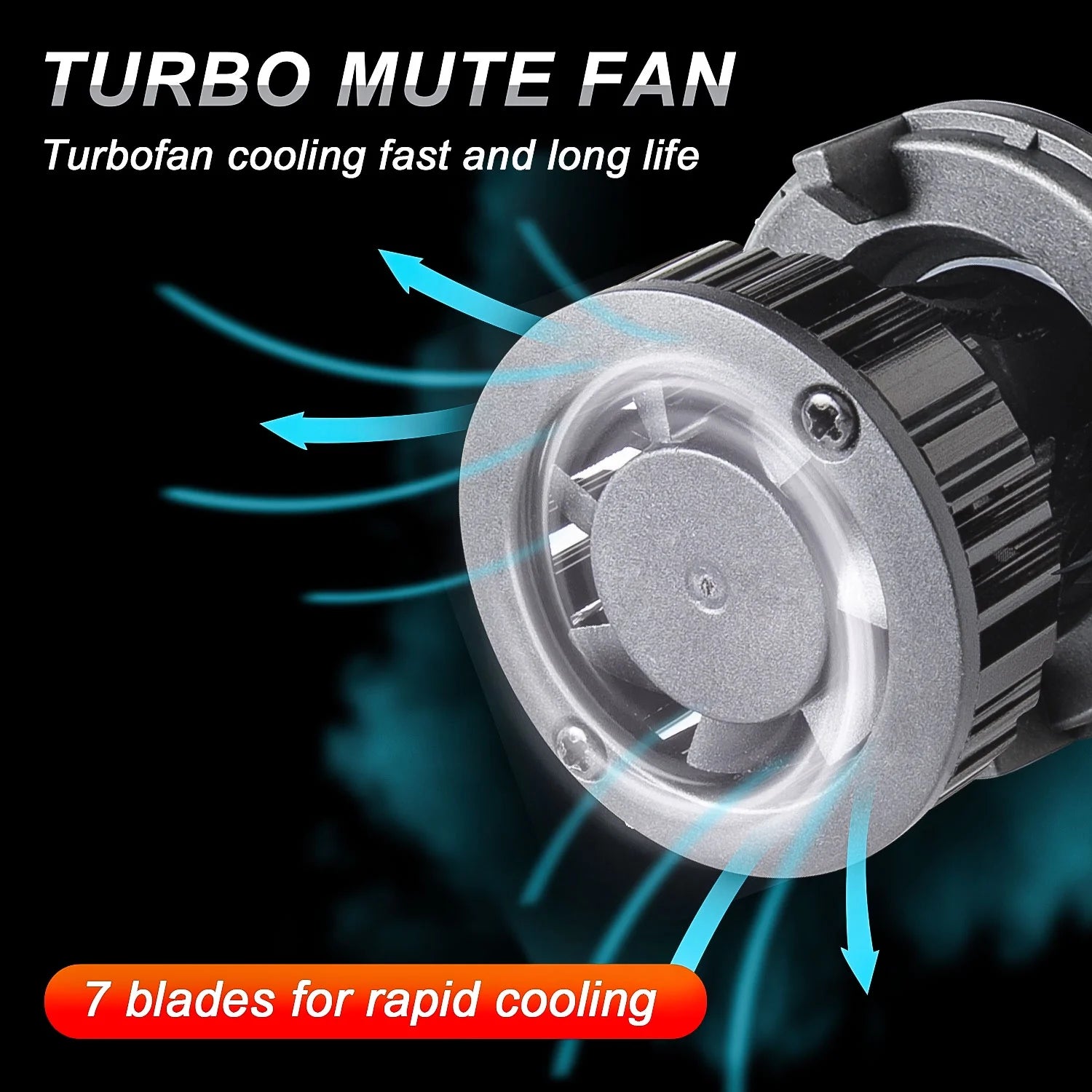 White LED Headlights Combo Bulbs Q778408