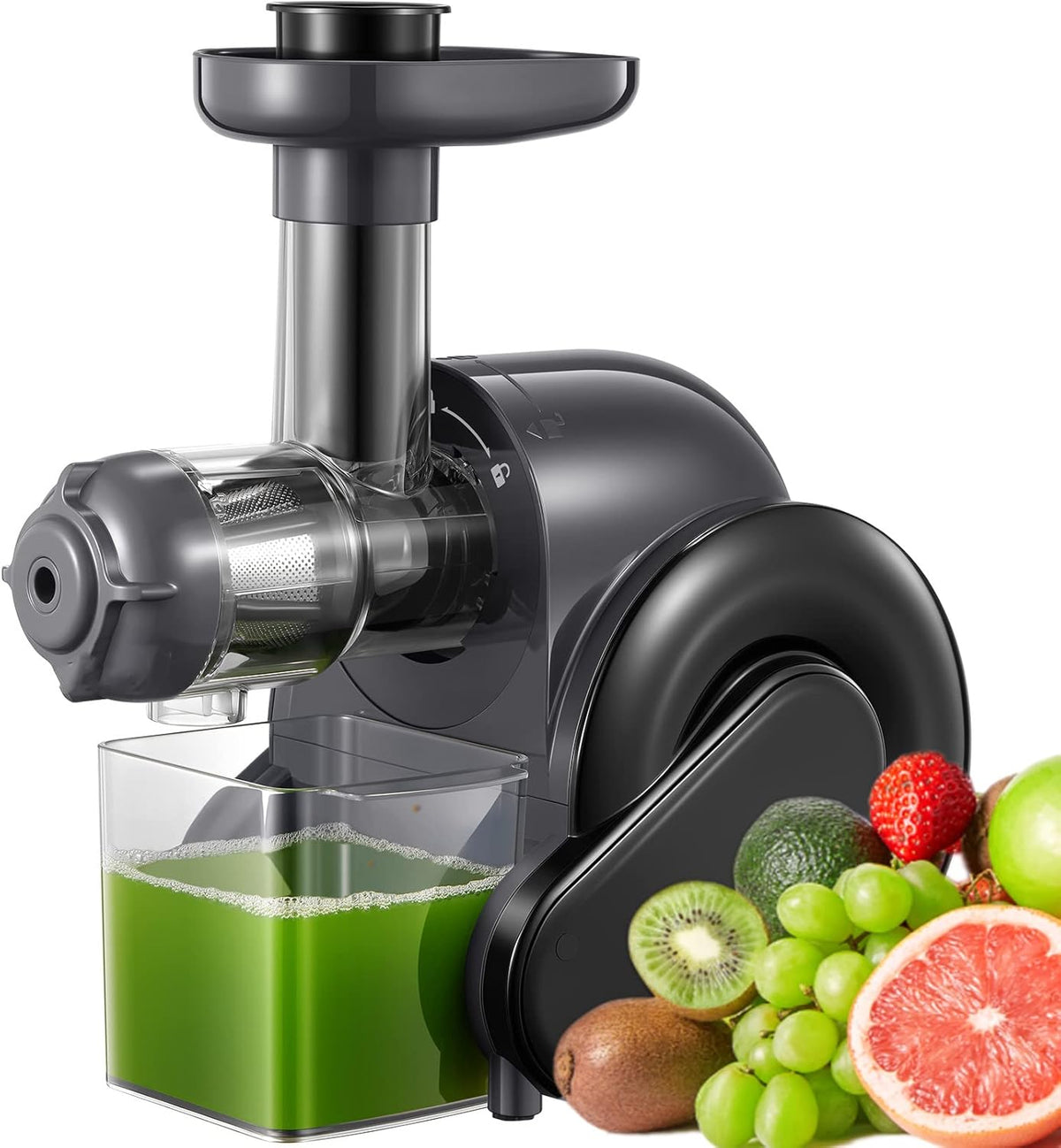 Slow Juicer Masticating Juicer with 2 Filter Q821
