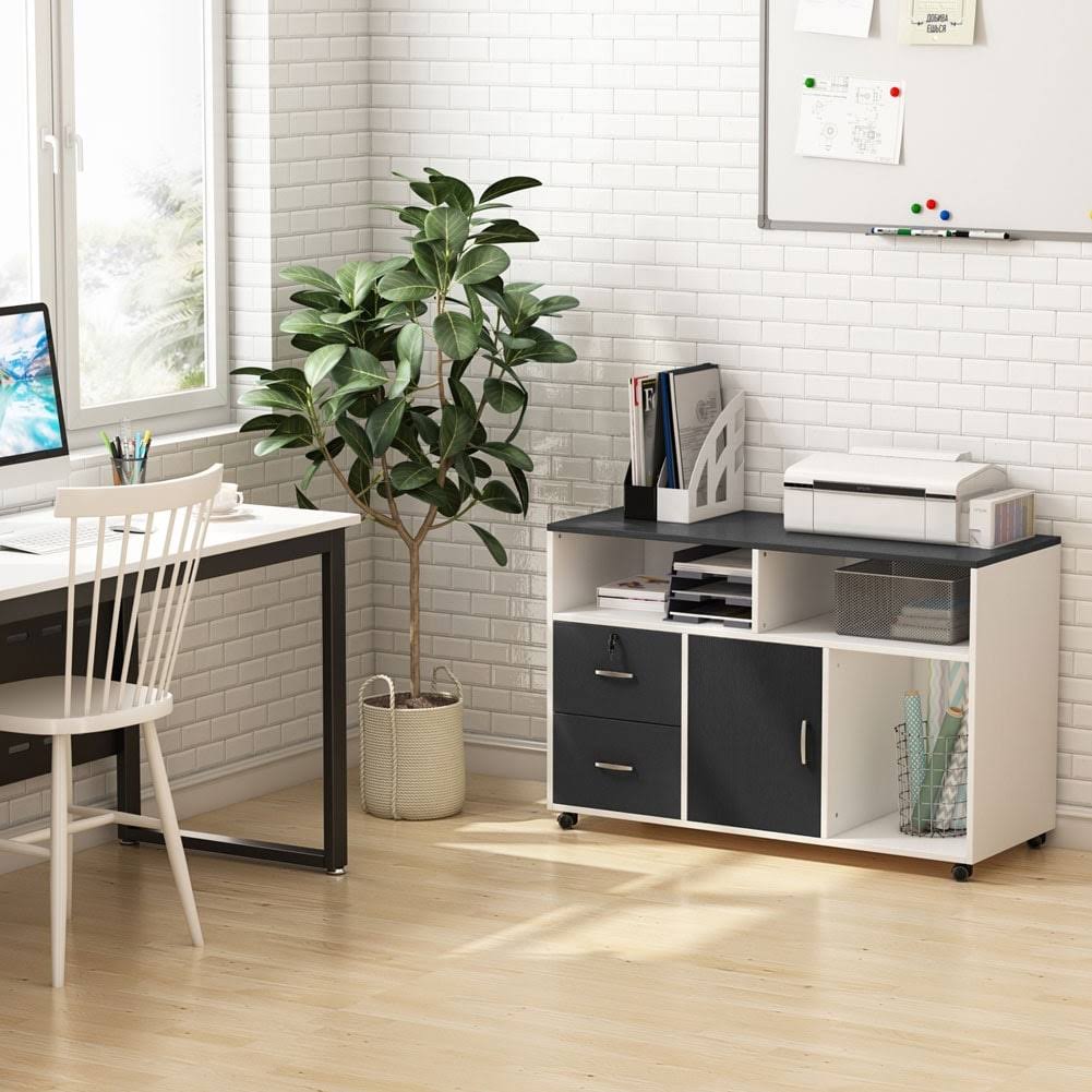Black & White 2 Drawer Mobile File Lateral Cabinet N4512