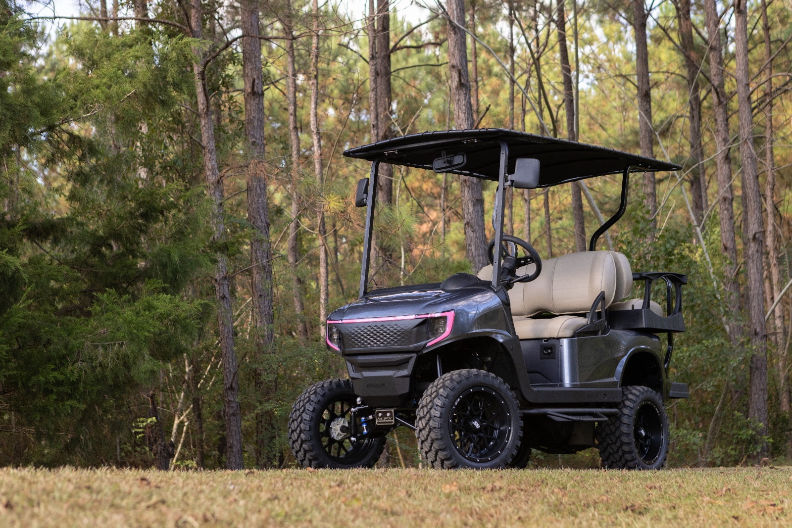 Hyper Gray Metallic Body Kit for EZGO RXV Golf Cart I86315