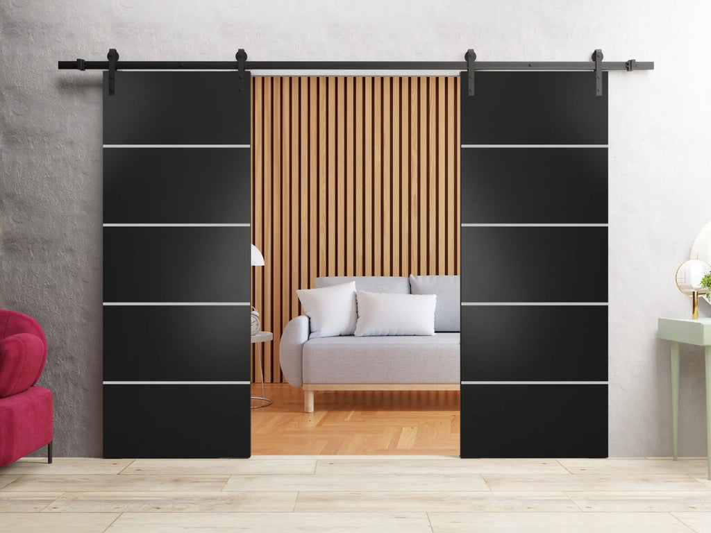Matte Black Frosted Glass Double Barn Door with Rail Hangers O963651