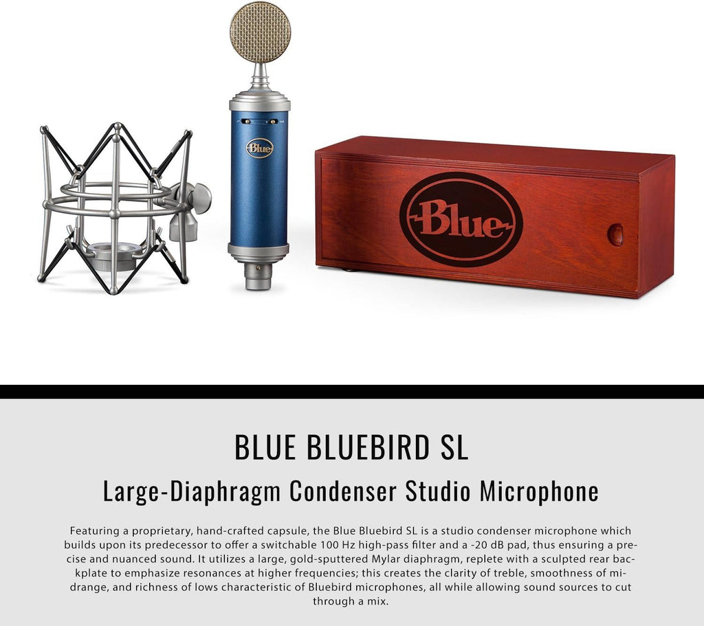 Large-Diaphragm Condenser Microphone with Closed-Back Headphones and XLR Cable W8601