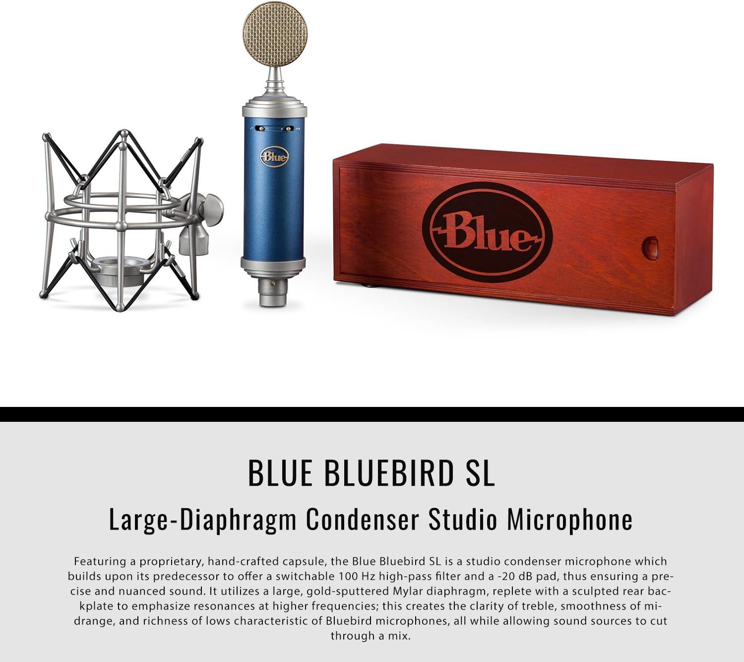 Large-Diaphragm Condenser Microphone with Closed-Back Headphones and XLR Cable W8601