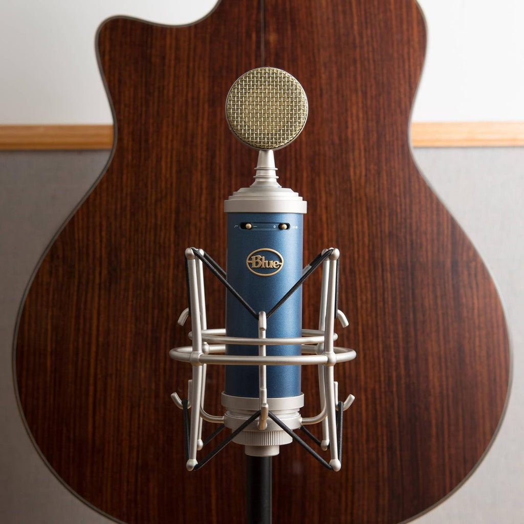 Large-Diaphragm Condenser Microphone with Closed-Back Headphones and XLR Cable W8601