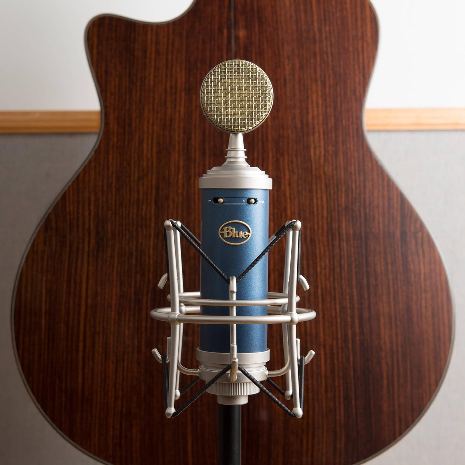 Large-Diaphragm Condenser Microphone with Closed-Back Headphones and XLR Cable W8601