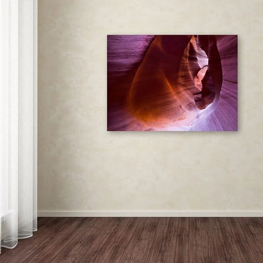 14" x 19" Canvas Art T128752