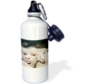 Straw Water Bottle, 21-ounce A972