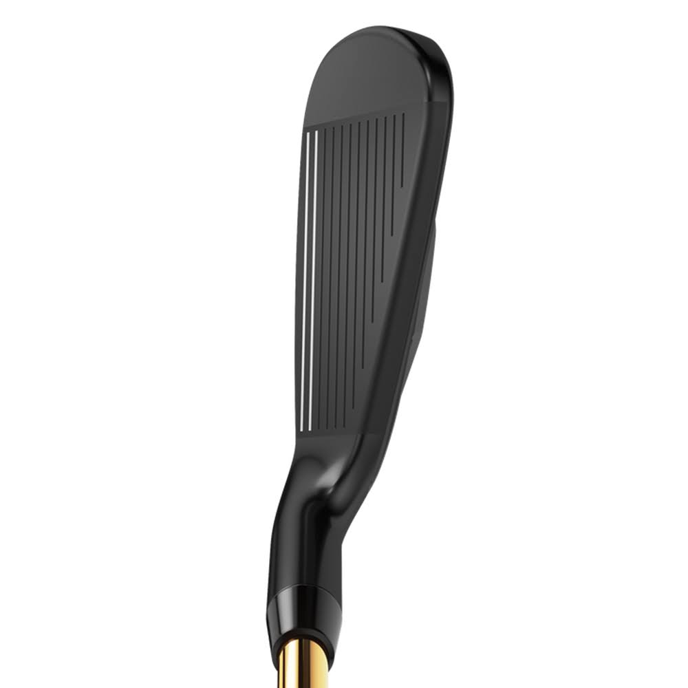 Graphite SW Regular RH Individual Iron S453602