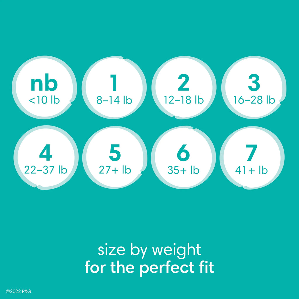 Baby Dry Diapers Size 6, 64 Count P366898