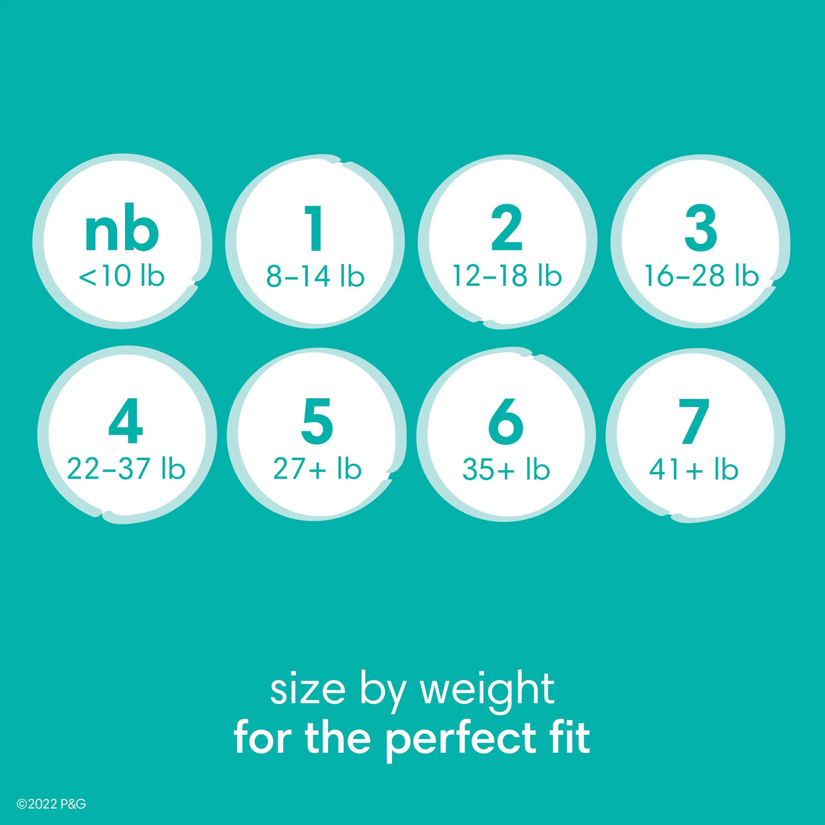 Baby Dry Diapers Size 6, 64 Count P366898