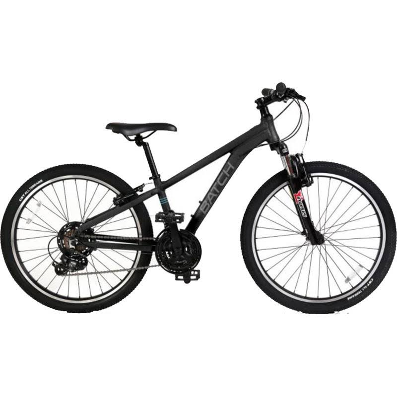 Mountain Bicycle D2055