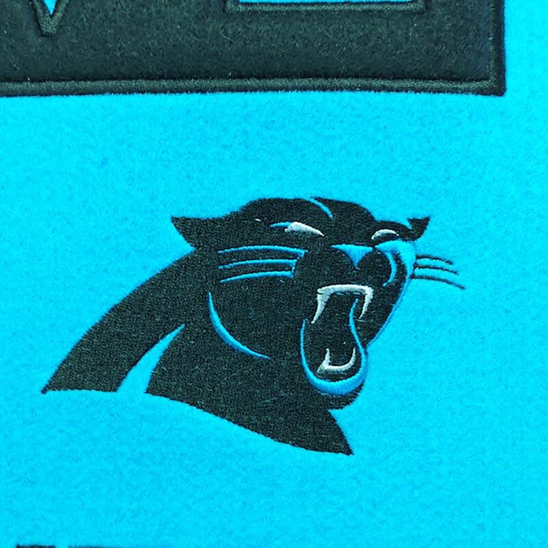 NFL Carolina Panthers Home Banner E16645