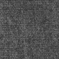 Indoor Outdoor Carpet with Rubber Marine Backing - Gray - 6 Feet x 10 Feet G556