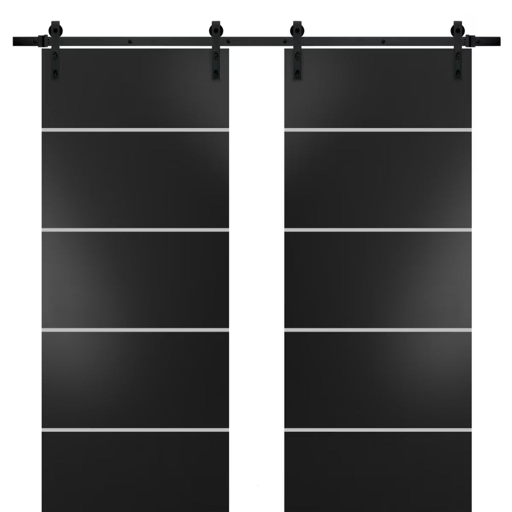 Matte Black Frosted Glass Double Barn Door with Rail Hangers O963651