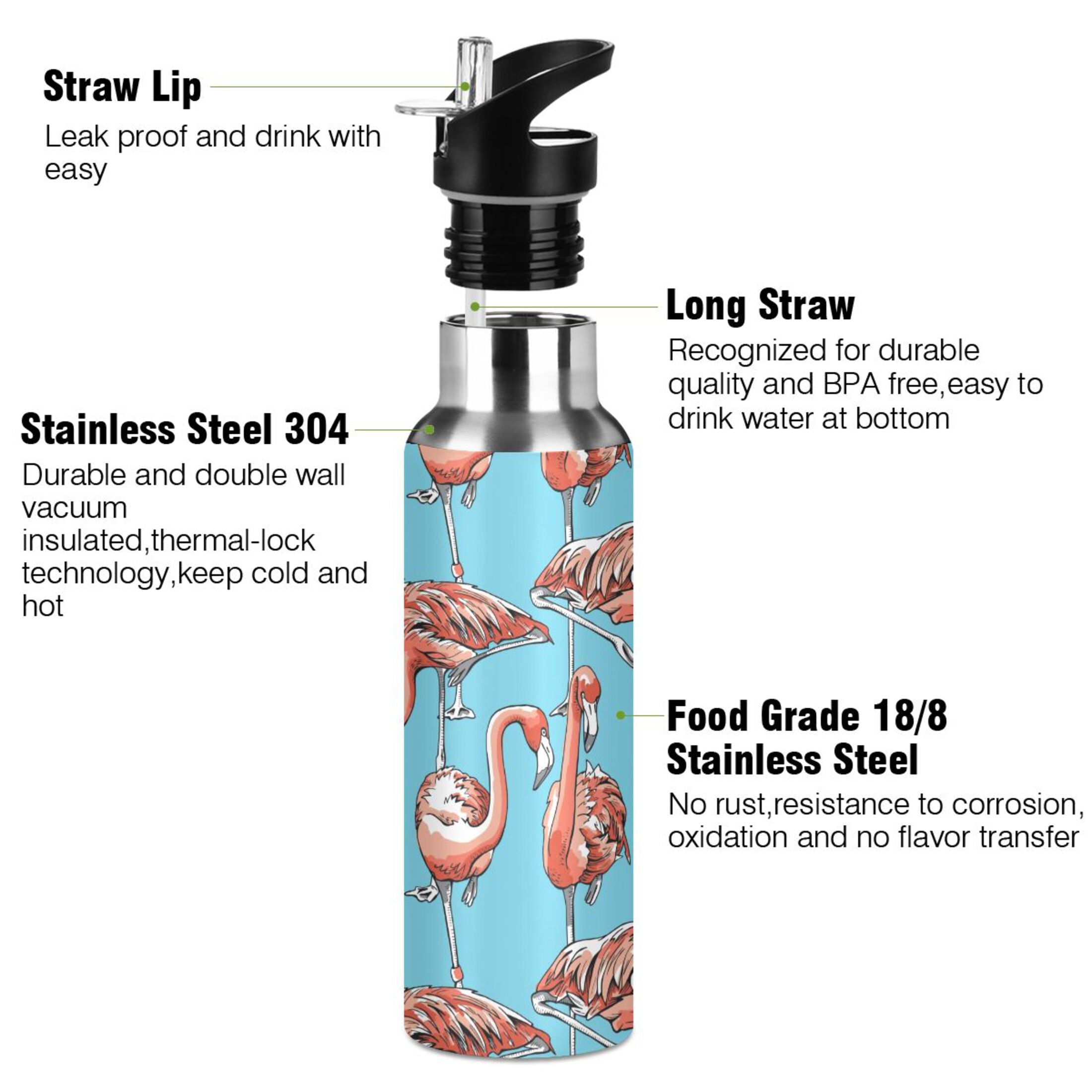 Insulated Stainless Steel Water Bottle with Straw Lid, 20 oz Z352624