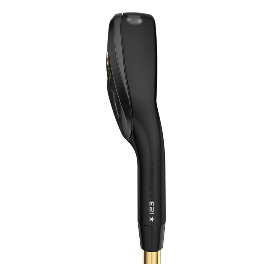 Graphite SW Regular RH Individual Iron S453602