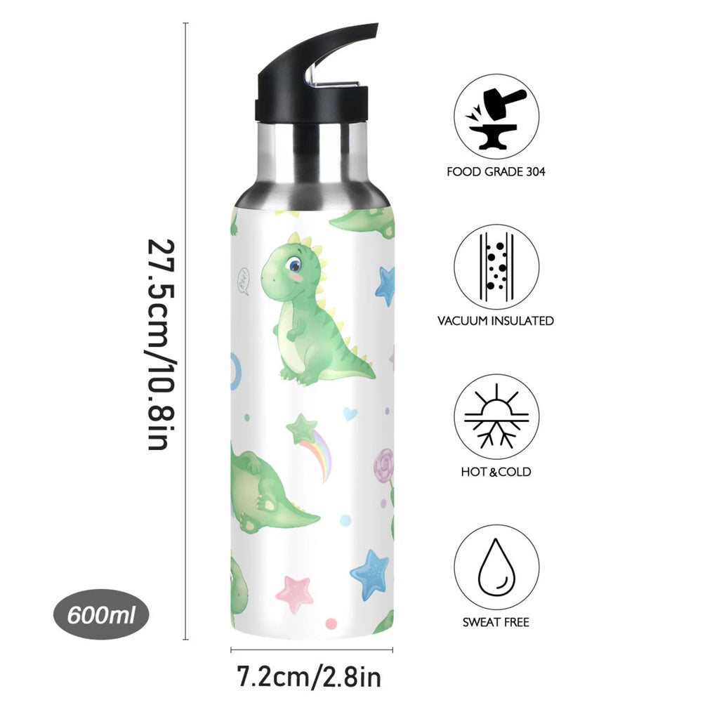 Stainless Steel Vacuum Insulated Water Bottle with Straw Lid 20 OZ X417