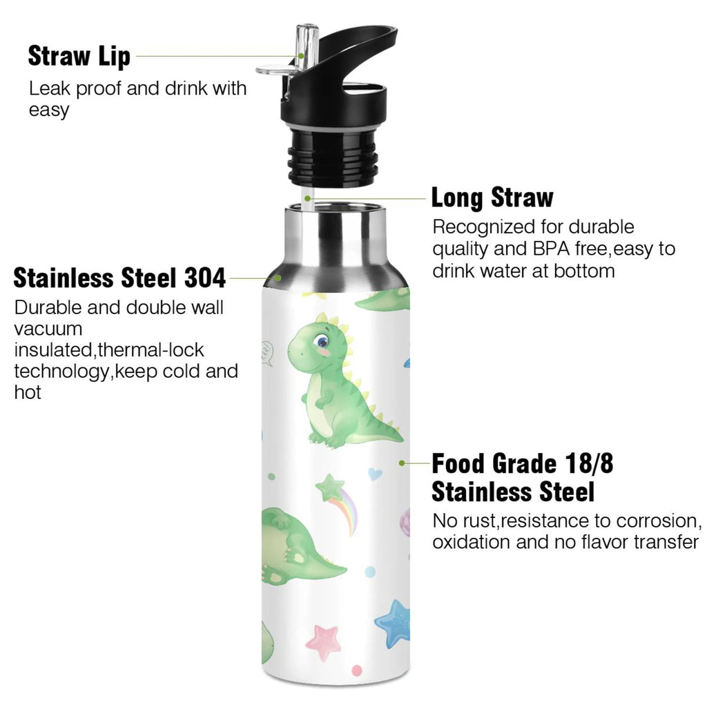 Stainless Steel Vacuum Insulated Water Bottle with Straw Lid 20 OZ X417